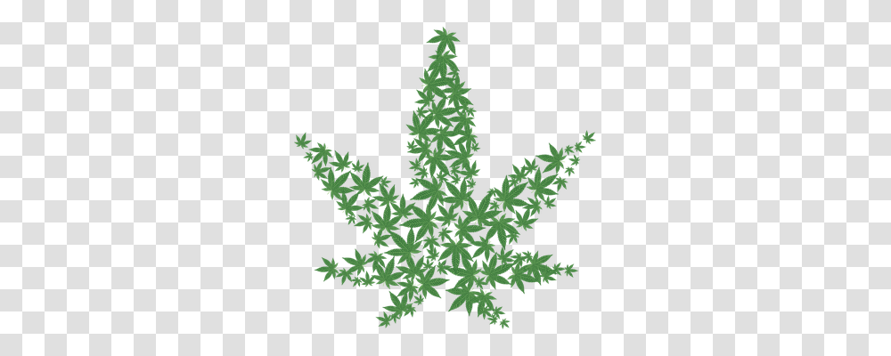 Cannabis Nature, Leaf, Plant, Tree Transparent Png