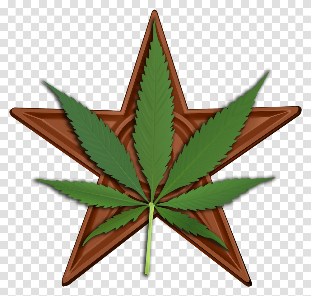 Cannabis Barnstar Hires Star With Weed Leaf, Plant, Hemp Transparent Png