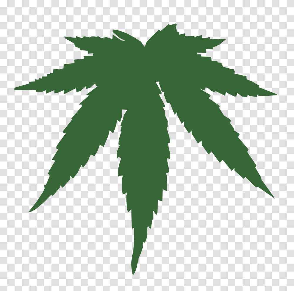 Cannabis Cannabis Cannabis Weed And Cannabis Leaf, Plant, Green Transparent Png