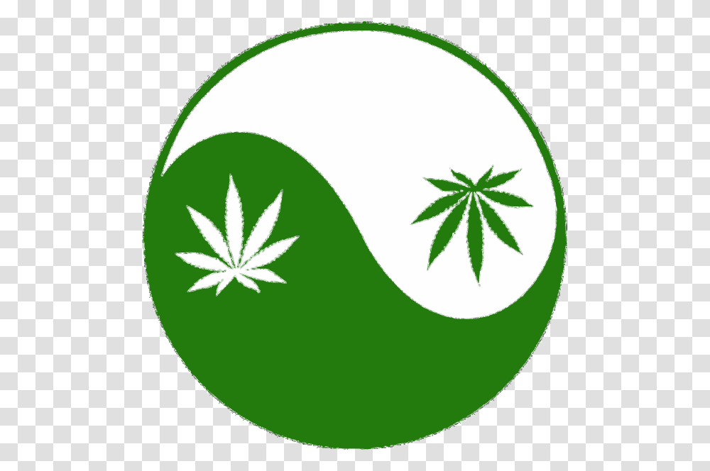 Cannabis Clipart Download Marijuana Funny, Tennis Ball, Sport, Sports, Plant Transparent Png