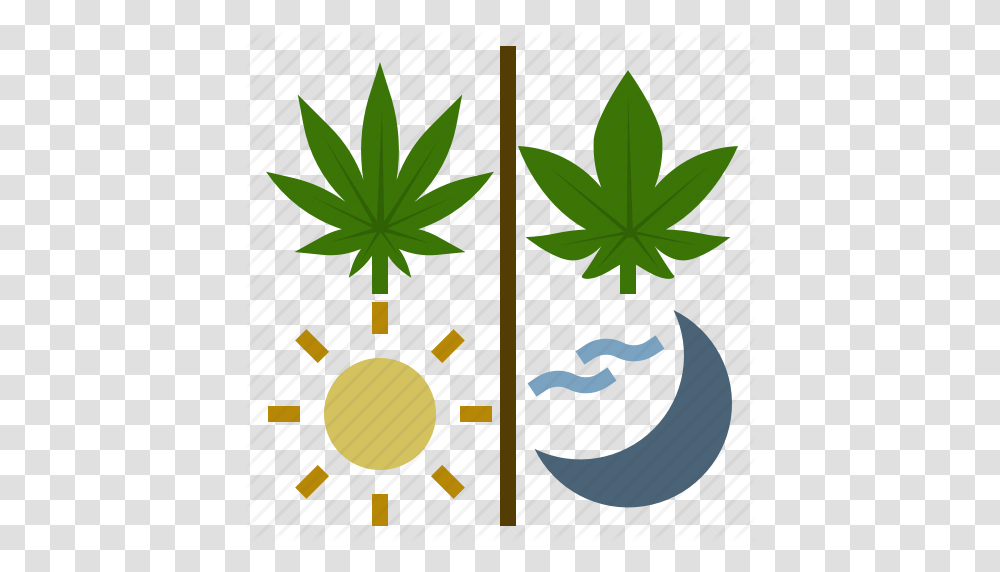 Cannabis Day Hemp Indica Night Sativa Weed Icon, Leaf, Plant Transparent Png
