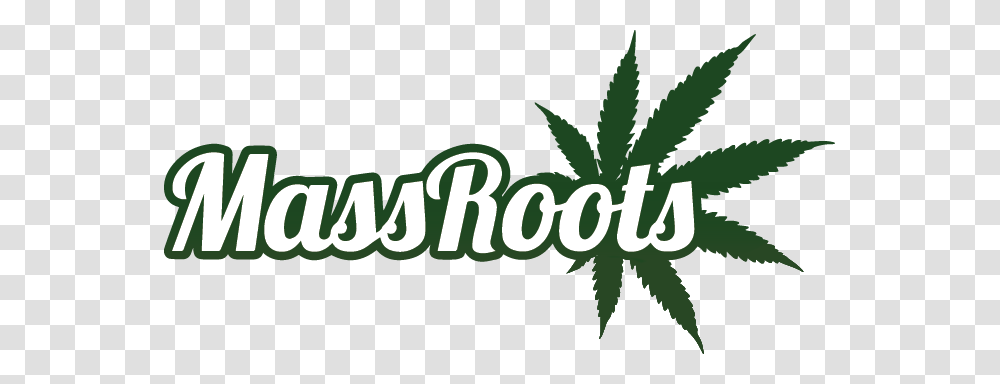 Cannabis Dispensary Review Site Weedmaps Leaks Evidence Of Fake, Plant, Green, Leaf, Vegetation Transparent Png