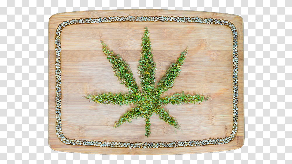 Cannabis Dried Leaves On Wooden Board, Plant, Tree, Rug, Leaf Transparent Png