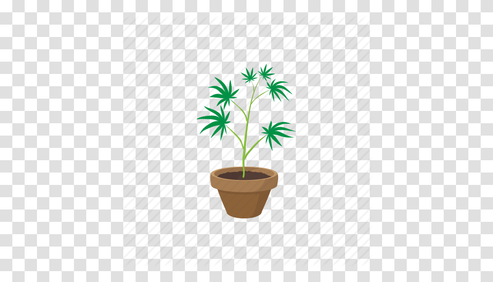 Cannabis Drug Green Growing Marijuana Plant Pot Icon, Tree, Palm Tree, Arecaceae Transparent Png