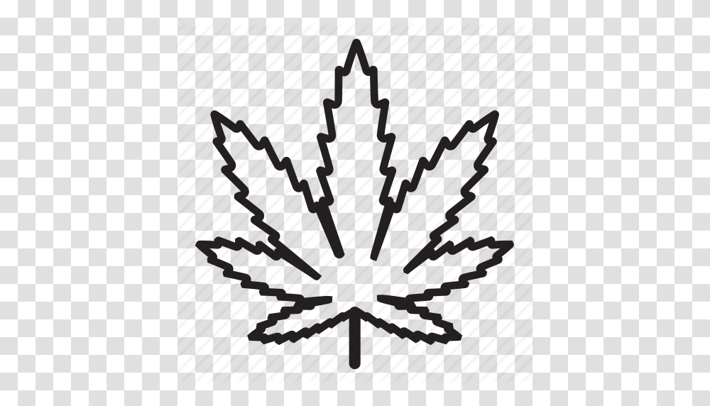 Cannabis Drug Hashish Hemp Leaf Marihuana Marijuana Icon, Plant, Flower, Blossom Transparent Png