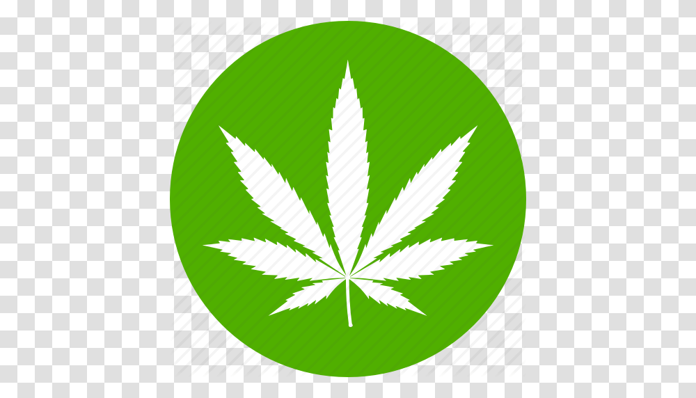 Cannabis Drug Hemp Marijuana Pot Weed Icon, Green, Plant, Leaf Transparent Png