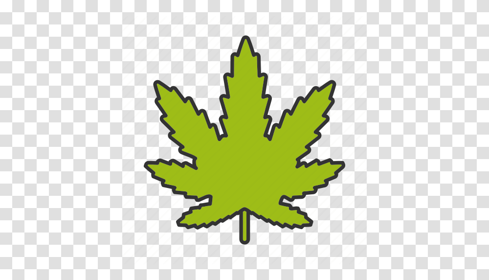Cannabis Drugs Leaf Marihuana Marijuana Plant Weed Icon, Maple Leaf, Tree Transparent Png