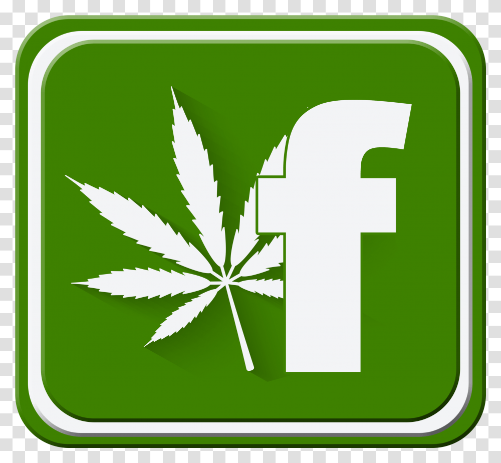 Cannabis Facebook, Plant, Green, Leaf, Weed Transparent Png