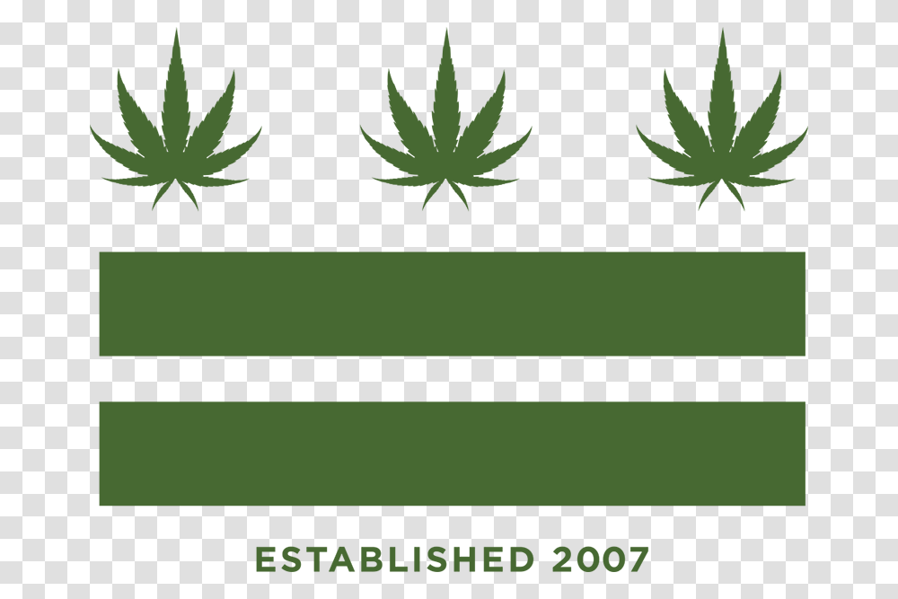 Cannabis, Green, Tabletop, Grass, Plant Transparent Png