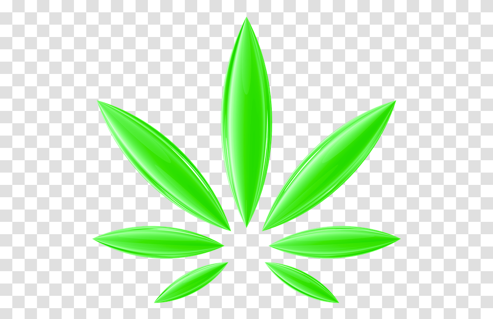 Cannabis Hemp Ganja Herb Bud Marijuana Weed Ganja, Plant, Leaf, Green, Flower Transparent Png