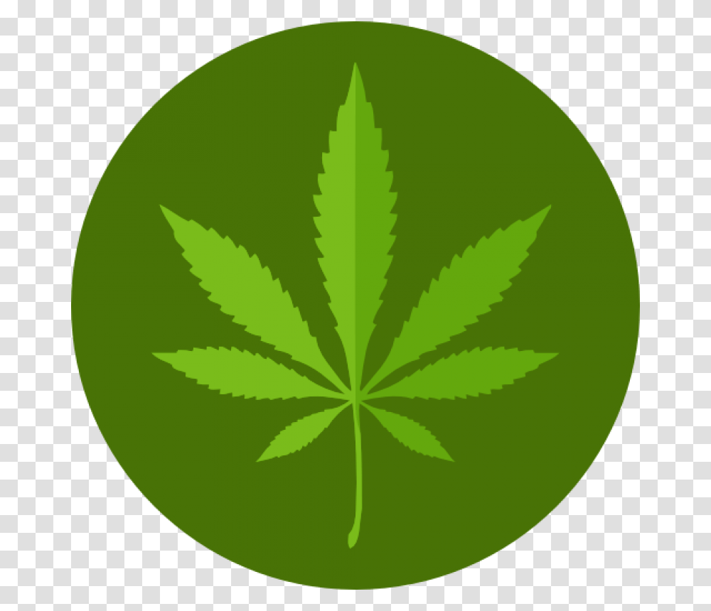 Cannabis Image Flat Marijuana Icon, Tennis Ball, Sport, Sports, Green Transparent Png