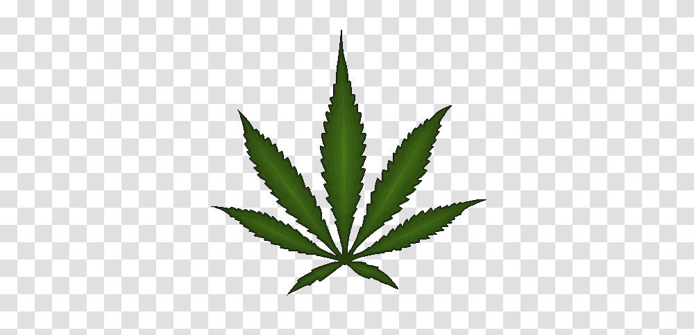 Cannabis Images Free Download, Plant, Leaf, Hemp, Weed Transparent Png