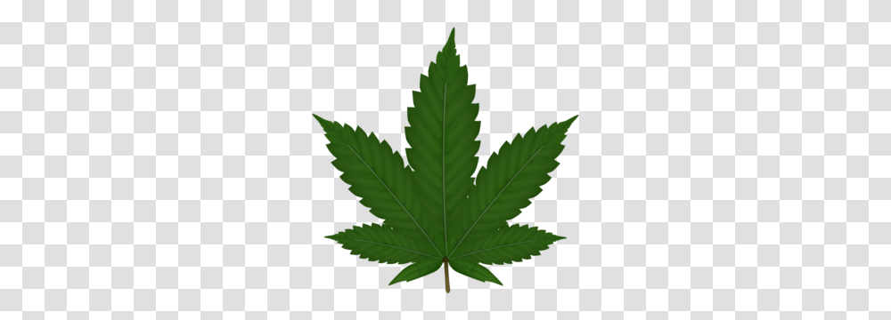 Cannabis Leaf Clip Art, Plant, Weed, Tree, Maple Leaf Transparent Png