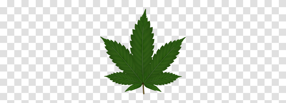 Cannabis Leaf Clip Arts For Web, Plant, Weed, Maple Leaf Transparent Png