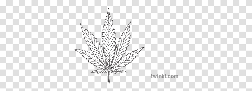 Cannabis Leaf Drug Substance Pot Weed Plant Smoke Dangerous Sketch, Tree, Maple Leaf Transparent Png