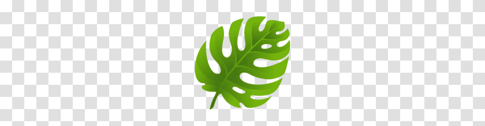 Cannabis Leaf Image, Green, Plant, Rug, Fern Transparent Png