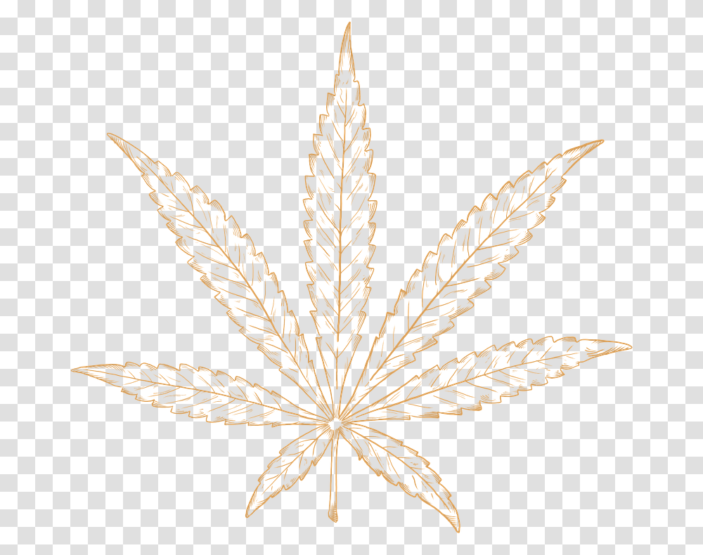 Cannabis Leaf, Plant, Anise, Maple Leaf, Weed Transparent Png