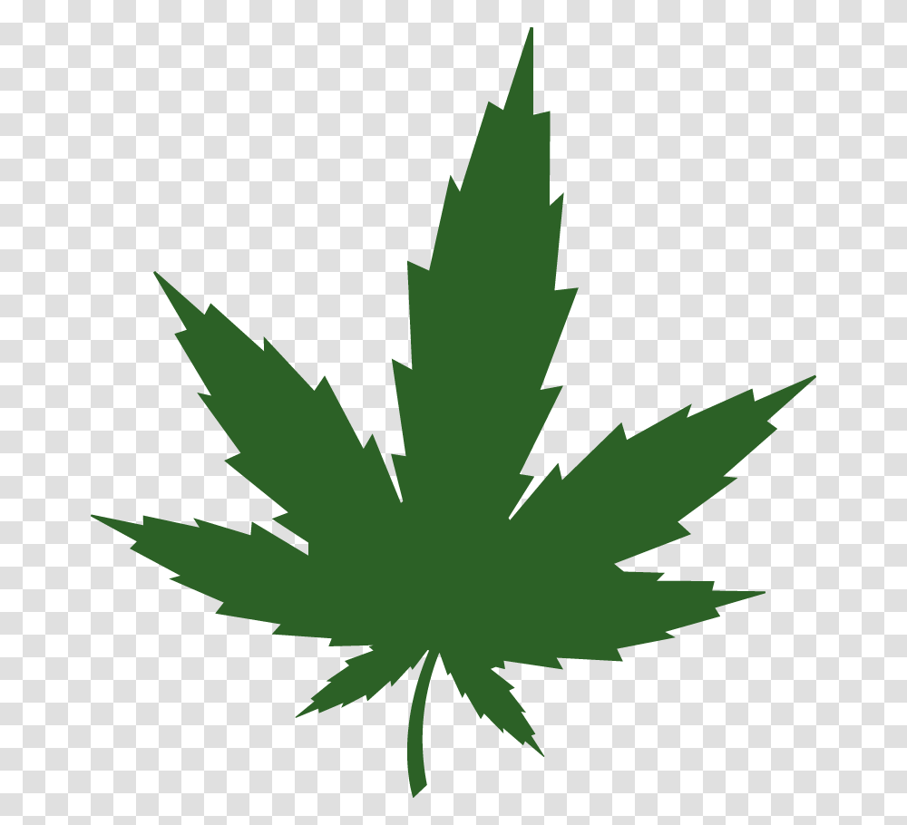 Cannabis Leaf, Plant, Maple Leaf, Weed, Tree Transparent Png