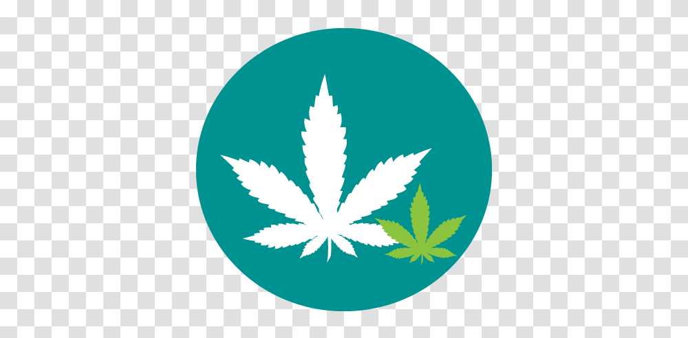 Cannabis, Leaf, Plant, Logo Transparent Png