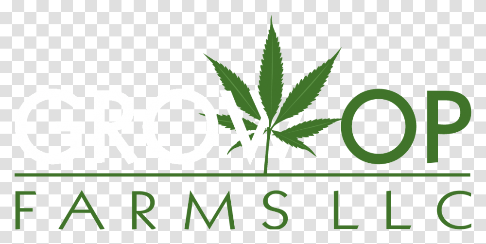 Cannabis Leaf, Plant, Weed, Hemp Transparent Png