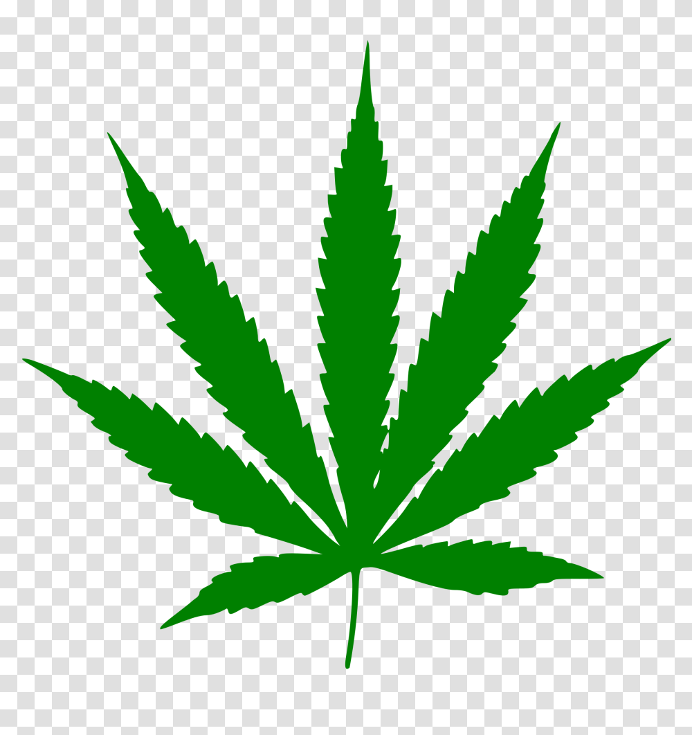 Cannabis Leaf, Plant, Weed, Hemp Transparent Png