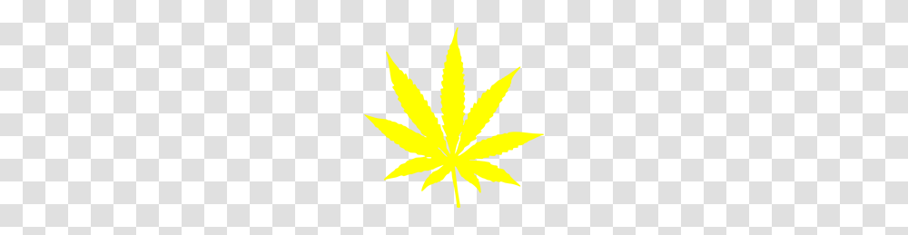 Cannabis Leaf Stars And Stripes Yellow Clip Art For Web, Plant, Bonfire, Flame, Maple Leaf Transparent Png
