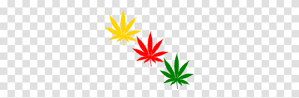 Cannabis Leafs Clip Art Vector, Plant, Maple Leaf, Poster, Advertisement Transparent Png