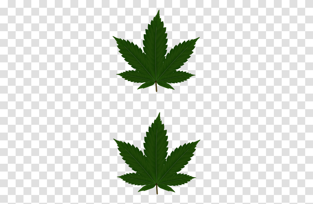 Cannabis Leaves Clip Art, Leaf, Plant, Green, Maple Leaf Transparent Png