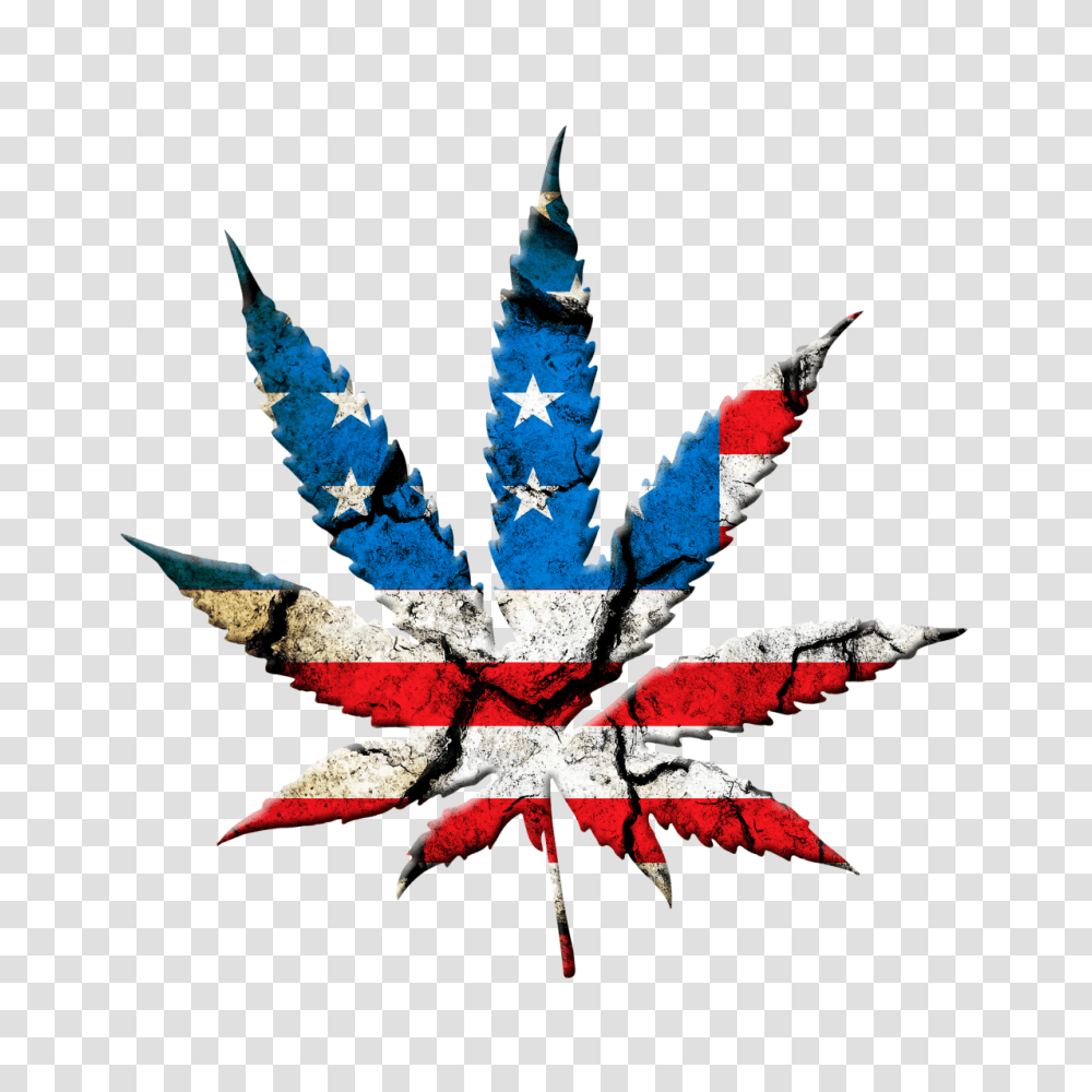 Cannabis Legalization Is The Bipartisan Issue We Need Right Now, Leaf, Plant, Maple Leaf, Tree Transparent Png