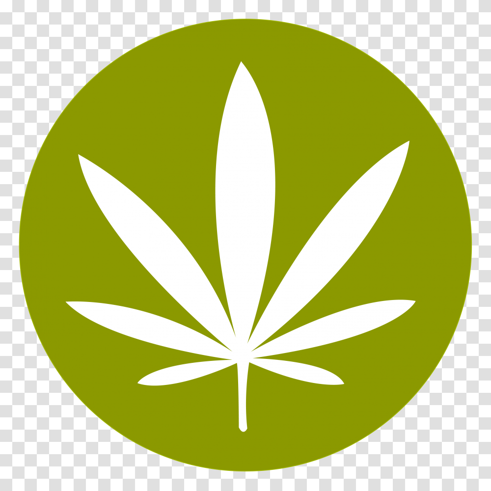 Cannabis, Logo, Trademark, Plant Transparent Png