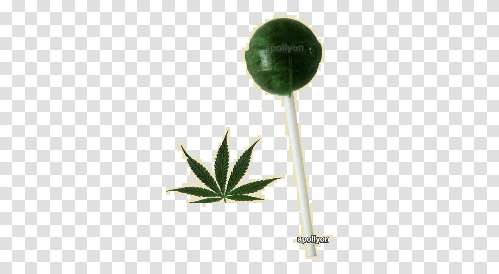 Cannabis Lollipop Cannabis, Plant, Candy, Food, Cross Transparent Png