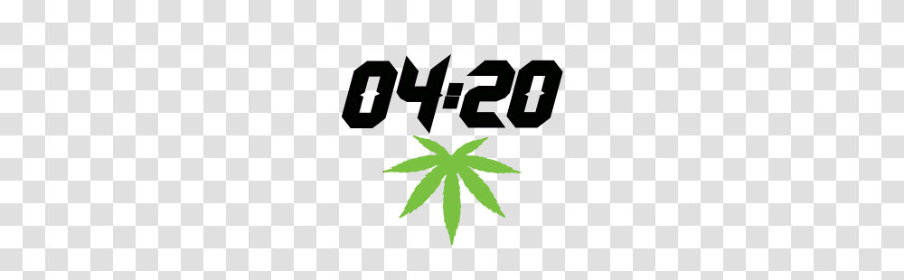 Cannabis Loung, Plant, Hemp, Weed, Leaf Transparent Png