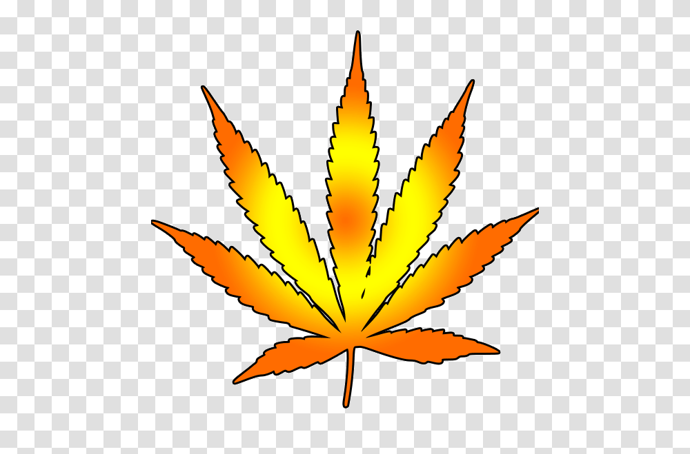 Cannabis Marijuana Leaf Clip Art, Plant, Weed, Tabletop, Furniture Transparent Png