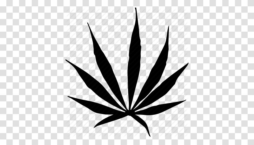 Cannabis Marijuana Sativa Weed Icon, Plant, Aloe, Leaf, Flower Transparent Png