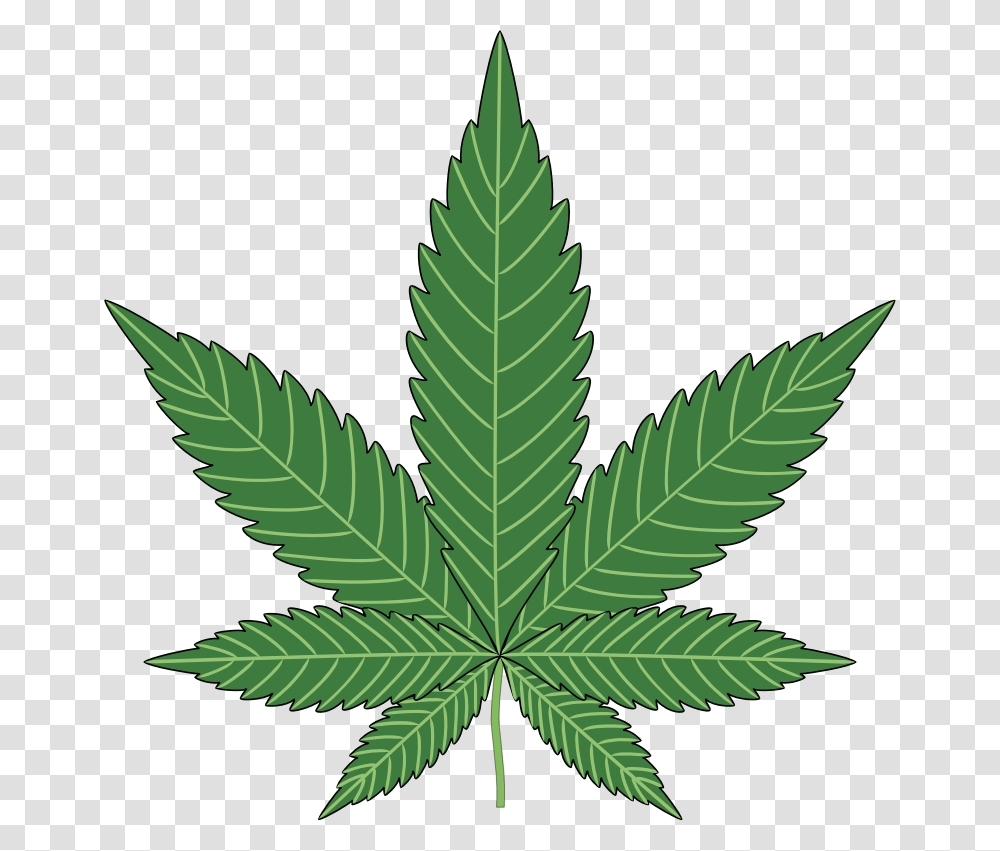 Cannabis, Nature, Leaf, Plant, Weed Transparent Png