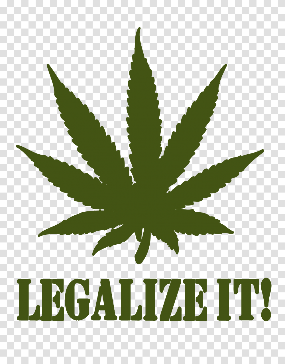 Cannabis, Nature, Plant, Leaf, Aloe Transparent Png