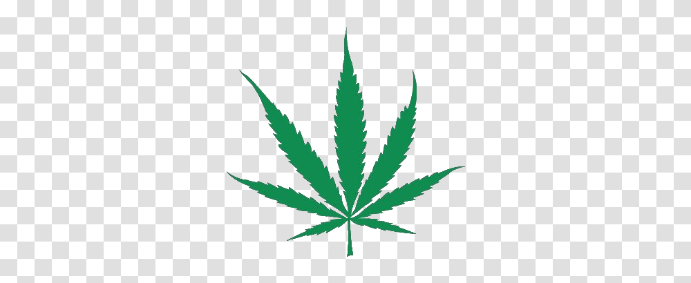 Cannabis, Nature, Plant, Weed, Hemp Transparent Png
