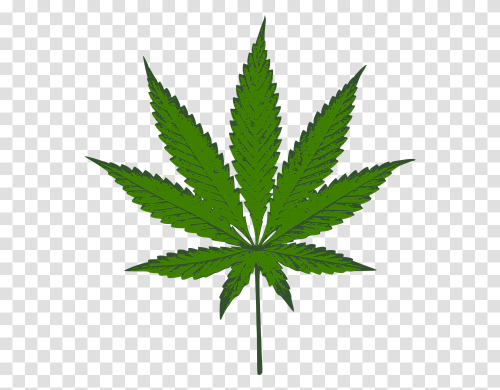 Cannabis, Nature, Plant, Weed, Leaf Transparent Png