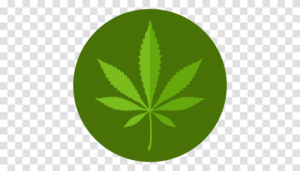 Cannabis, Nature, Tennis Ball, Sport, Sports Transparent Png