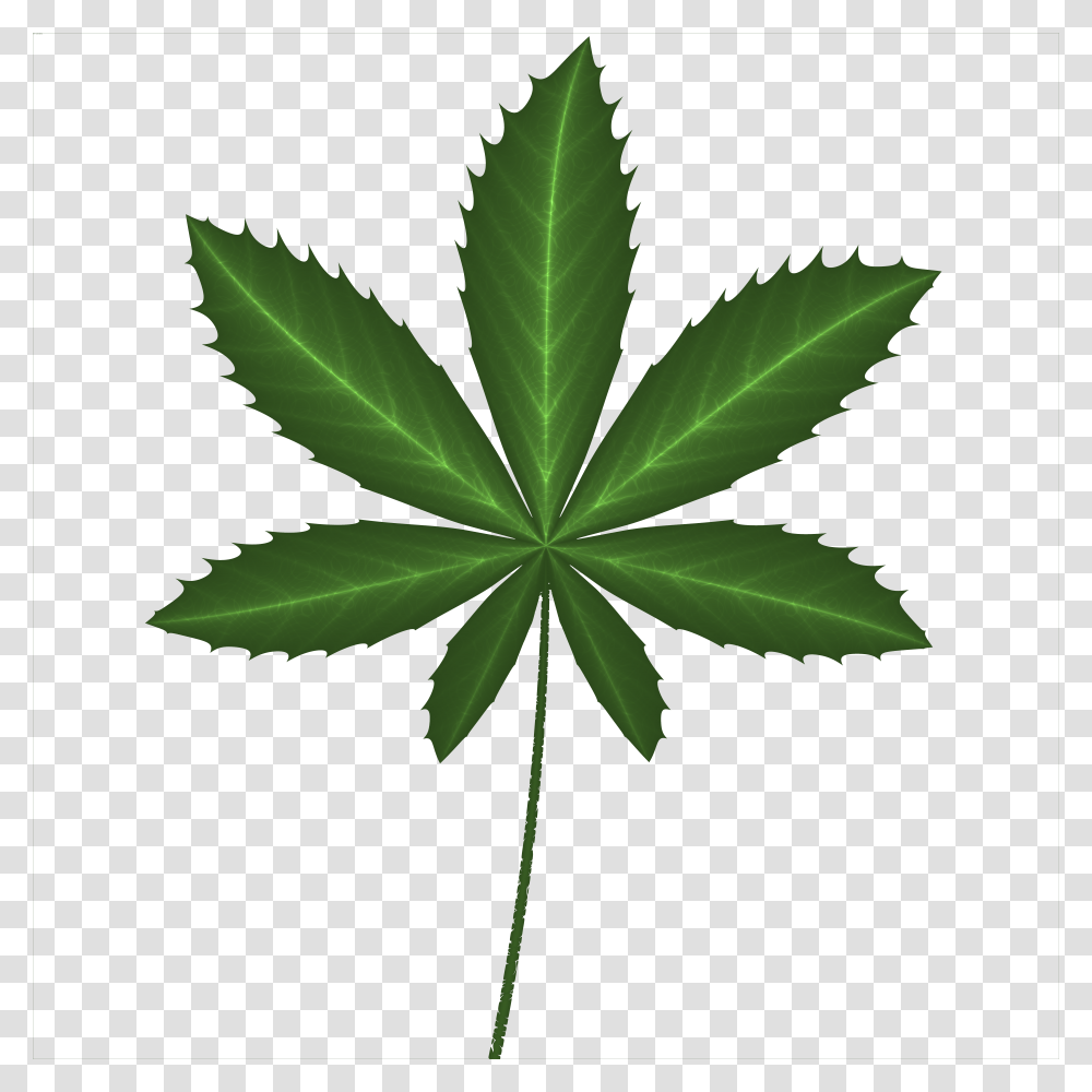 Cannabis, Nature Transparent Png