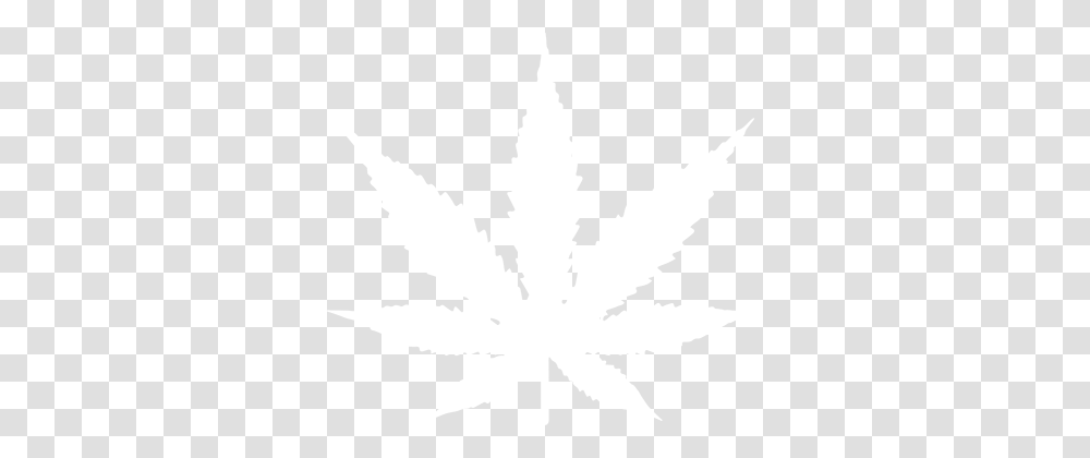 Cannabis, Nature, White, Texture, White Board Transparent Png