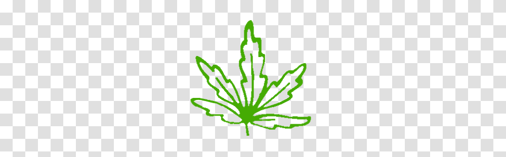 Cannabis, Plant, Flower, Blossom, Leaf Transparent Png