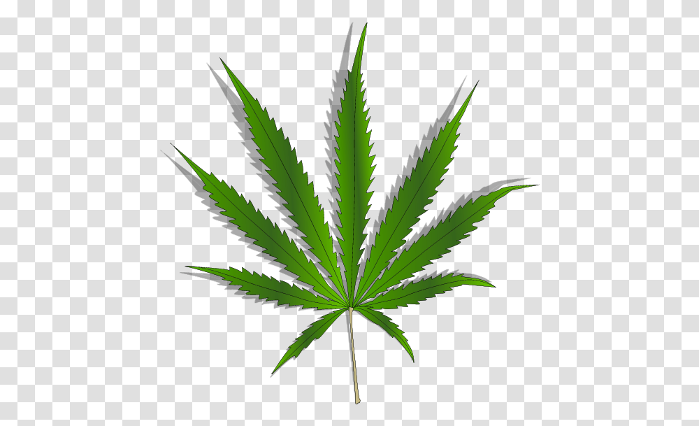 Cannabis, Plant, Hemp, Bird, Animal Transparent Png