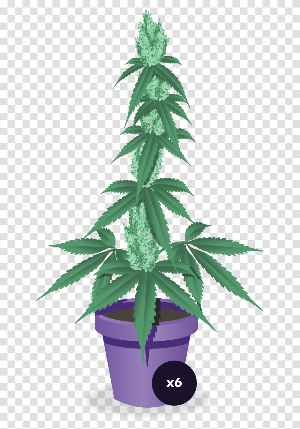 Cannabis, Plant, Hemp Transparent Png