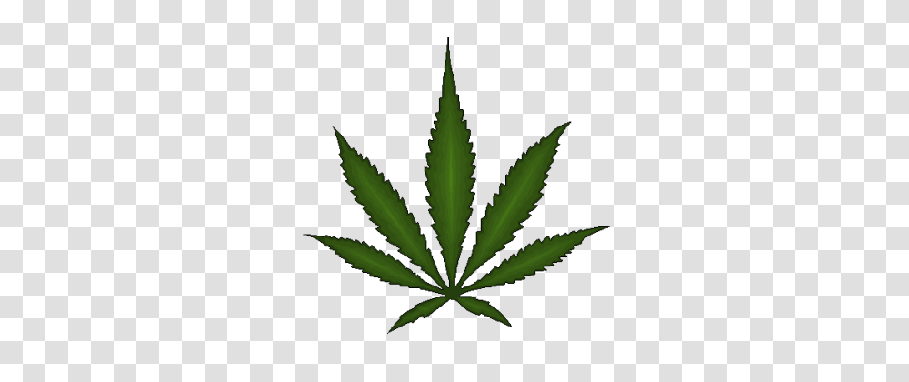 Cannabis, Plant, Hemp, Weed Transparent Png