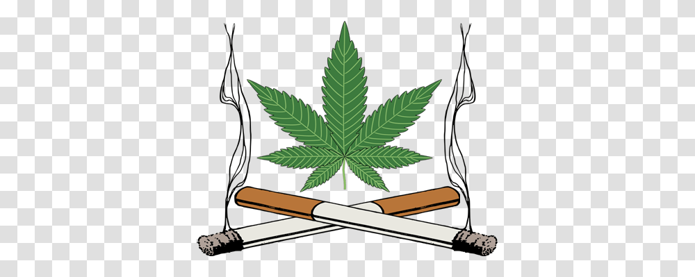 Cannabis, Plant, Leaf, Weed, Hemp Transparent Png