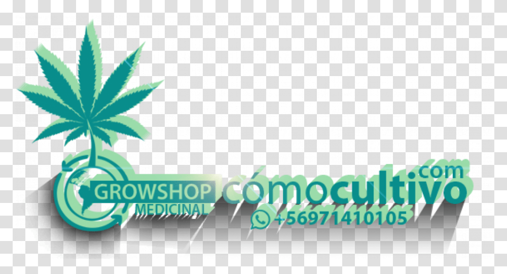 Cannabis, Plant, Leaf, Weed Transparent Png