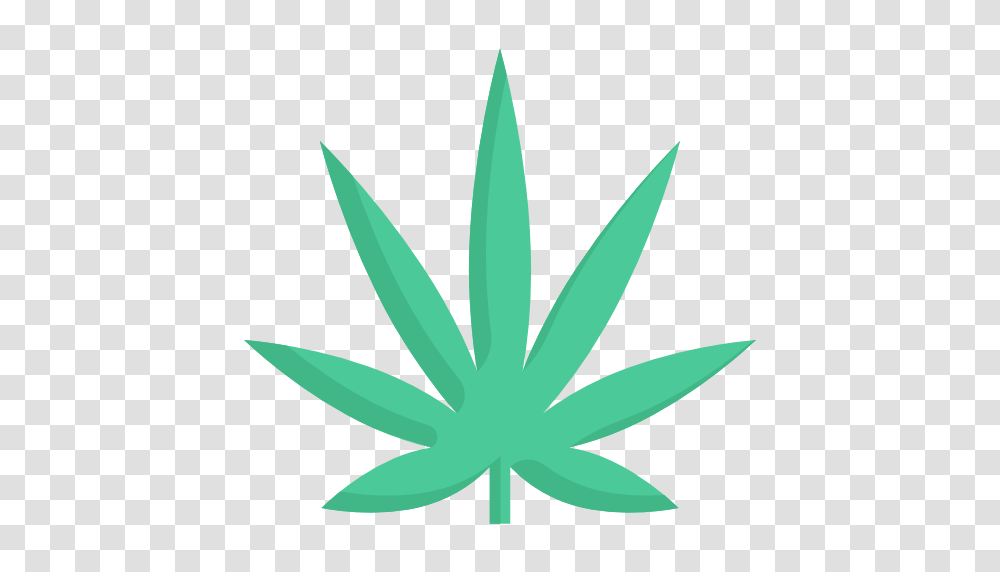 Cannabis, Plant, Leaf, Flower Transparent Png