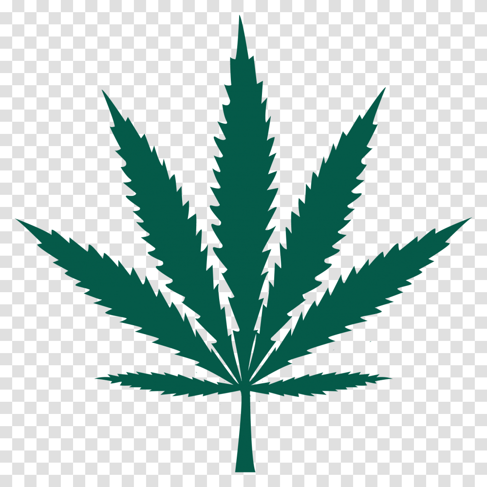 Cannabis, Plant, Weed, Leaf, Hemp Transparent Png