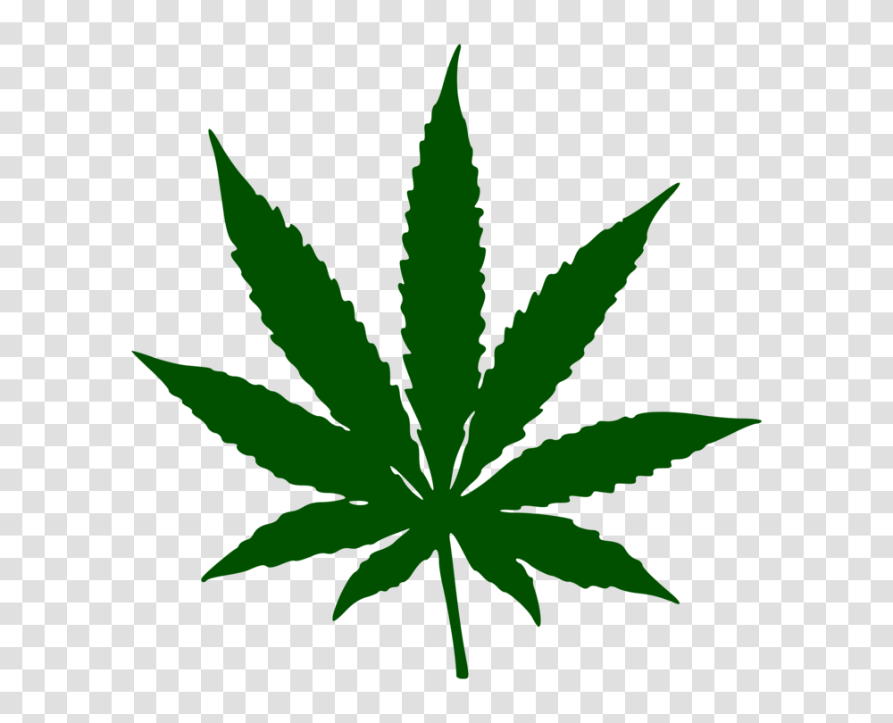 Cannabis Ruderalis Hemp Cannabis Sativa Leaf, Plant, Weed, Bird, Animal Transparent Png